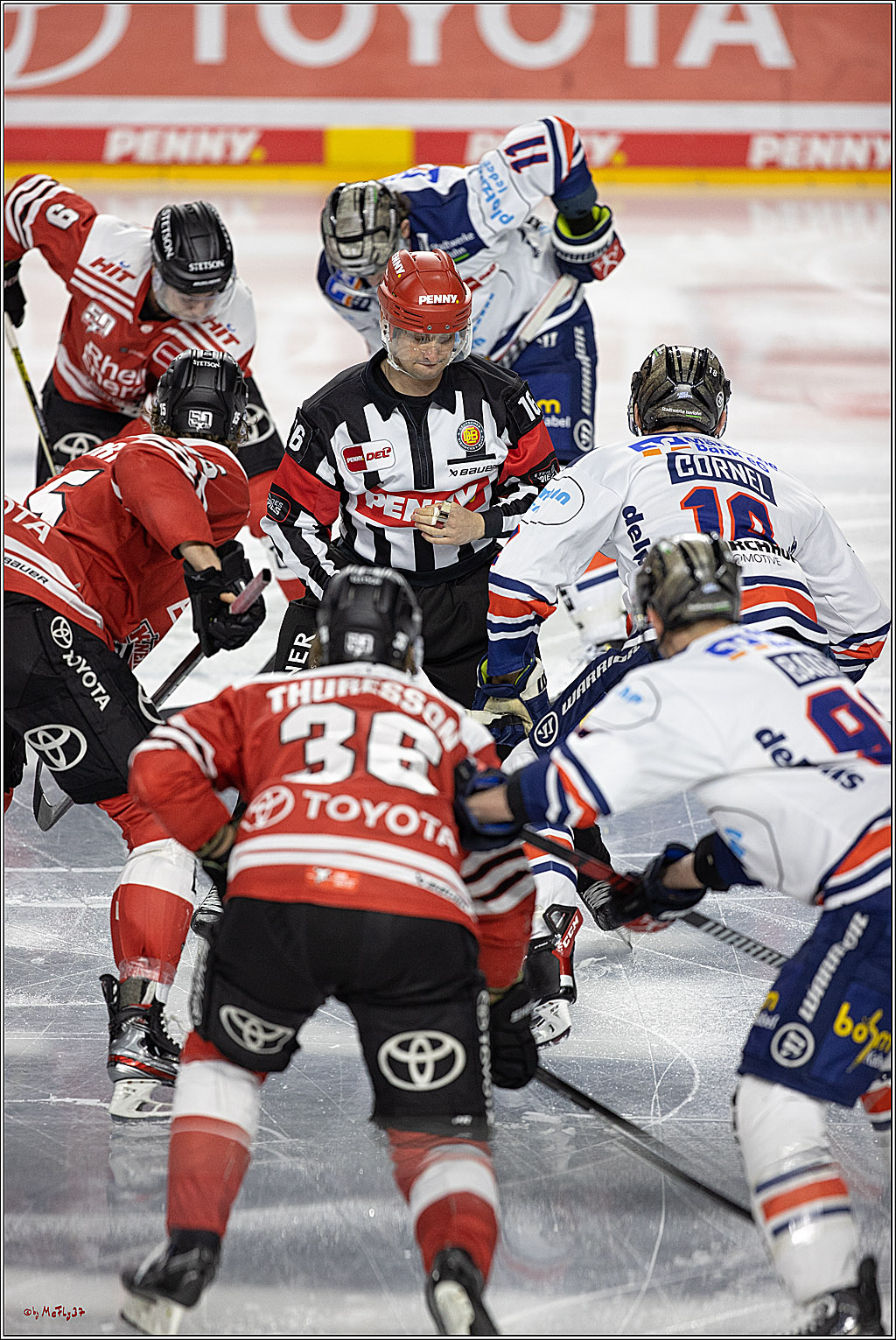 PENNY DEL;  Koelner Haie - Iserlohn Roosters; Koeln, 24.01.2023